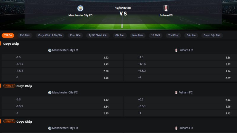 Man City vs Fulham